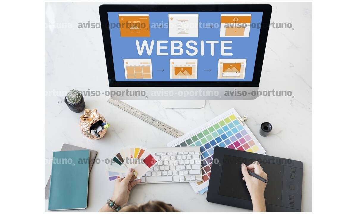 Diseñador de paginas WEB