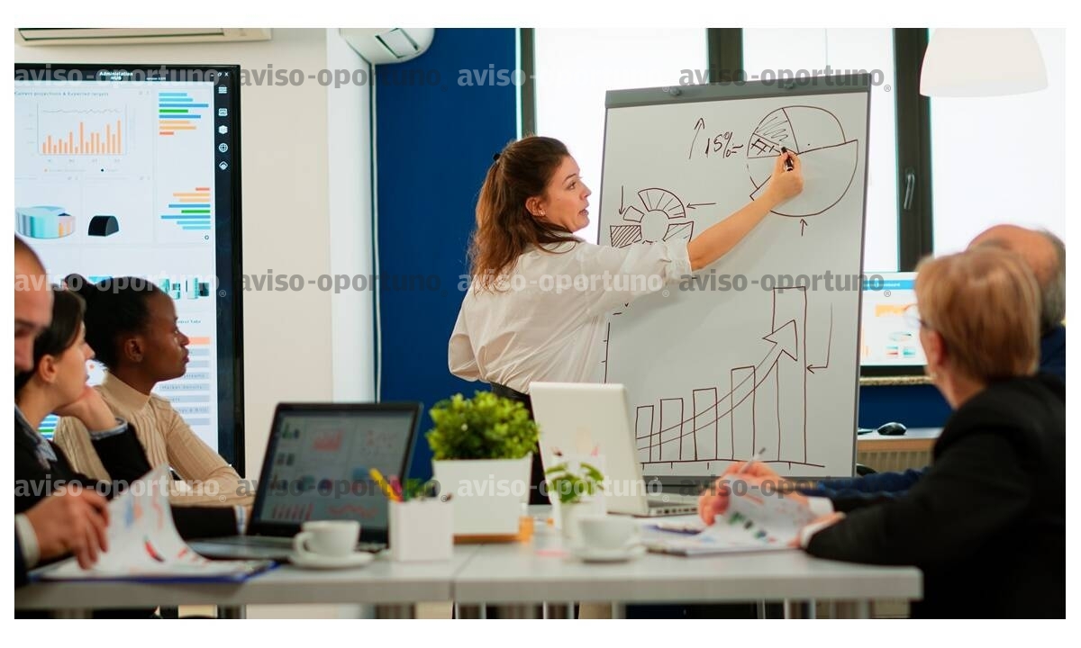 Investigador empresarial