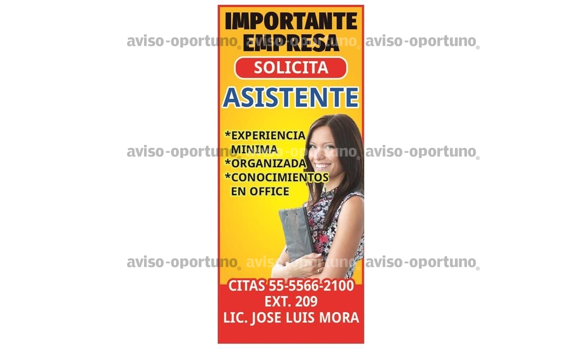 IMPORTANTE EMPRESA SOLICITA ASISTENTE