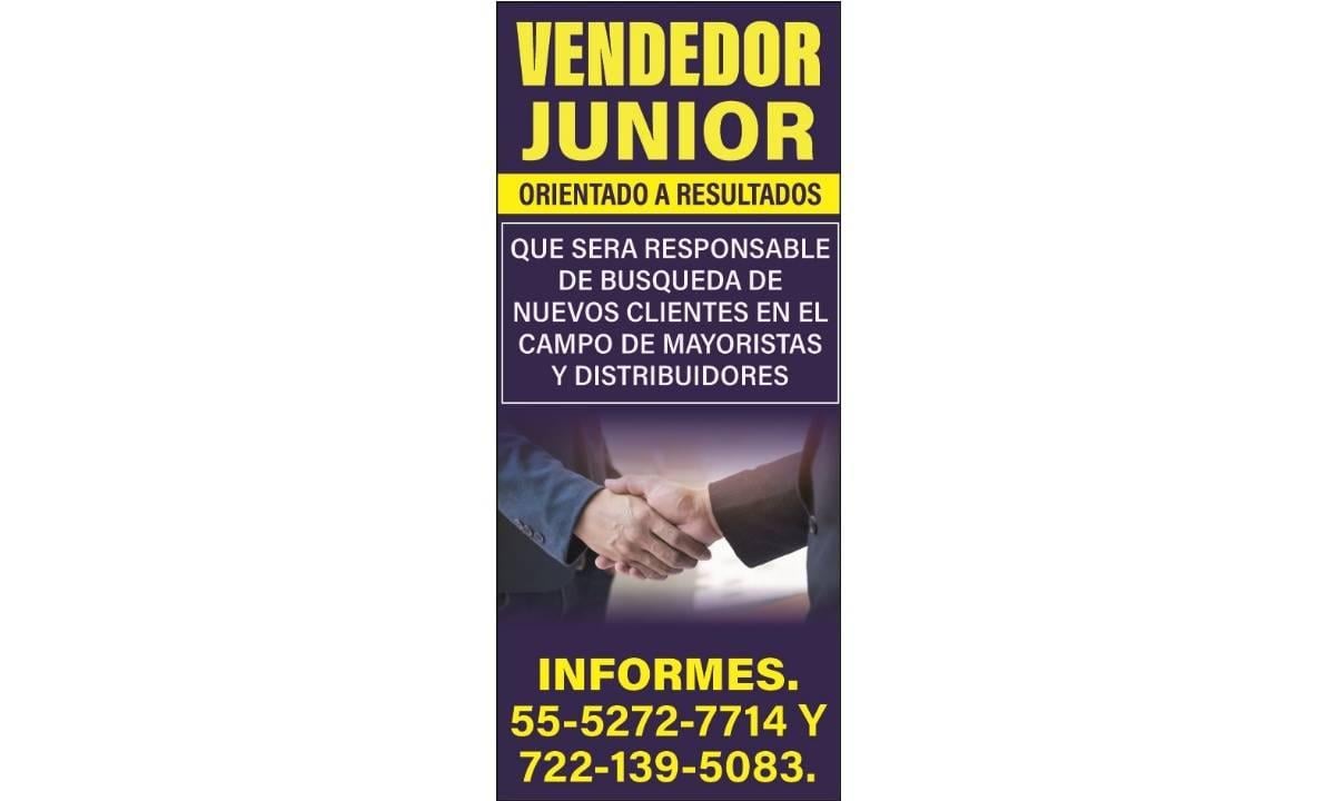 VENDEDOR JUNIOR
