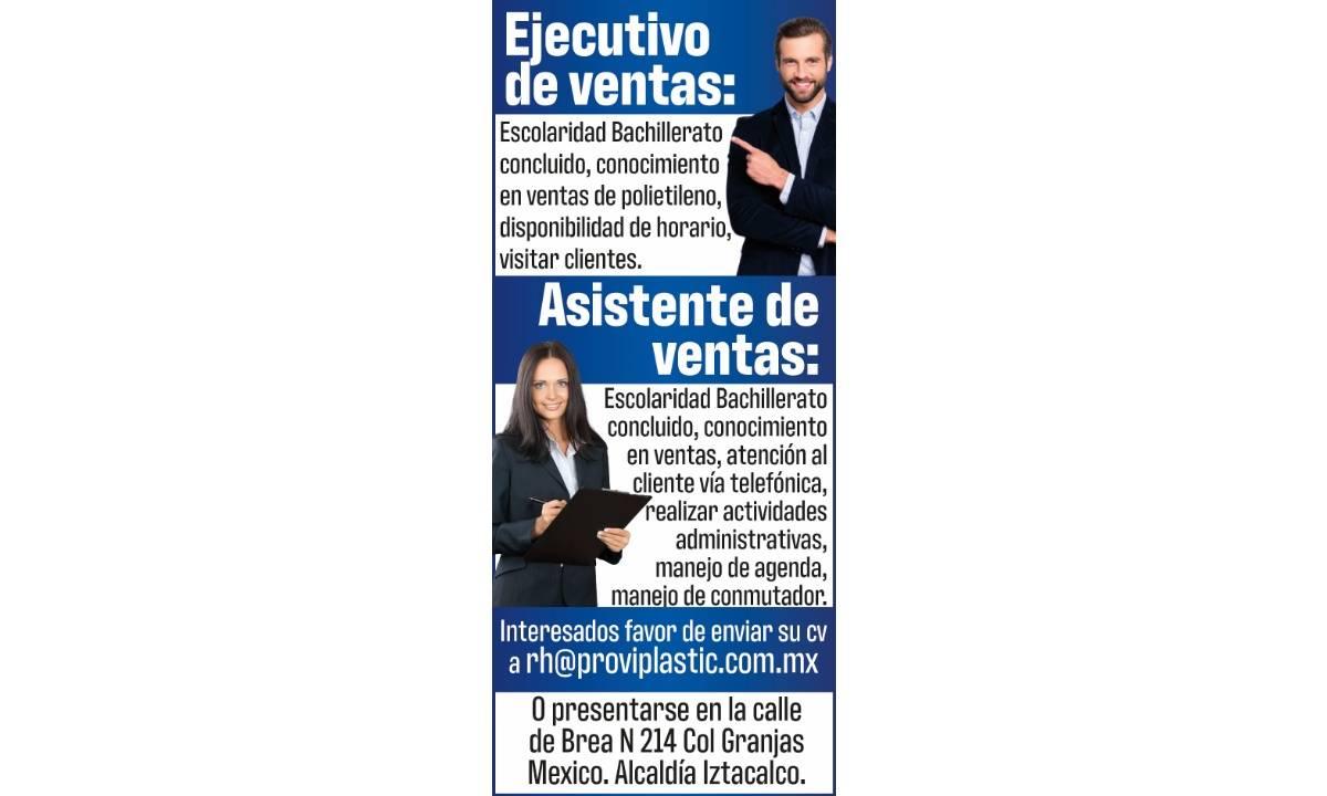 EJECUTIVO DE VENTAS/ ASISTENTE DE VENTAS