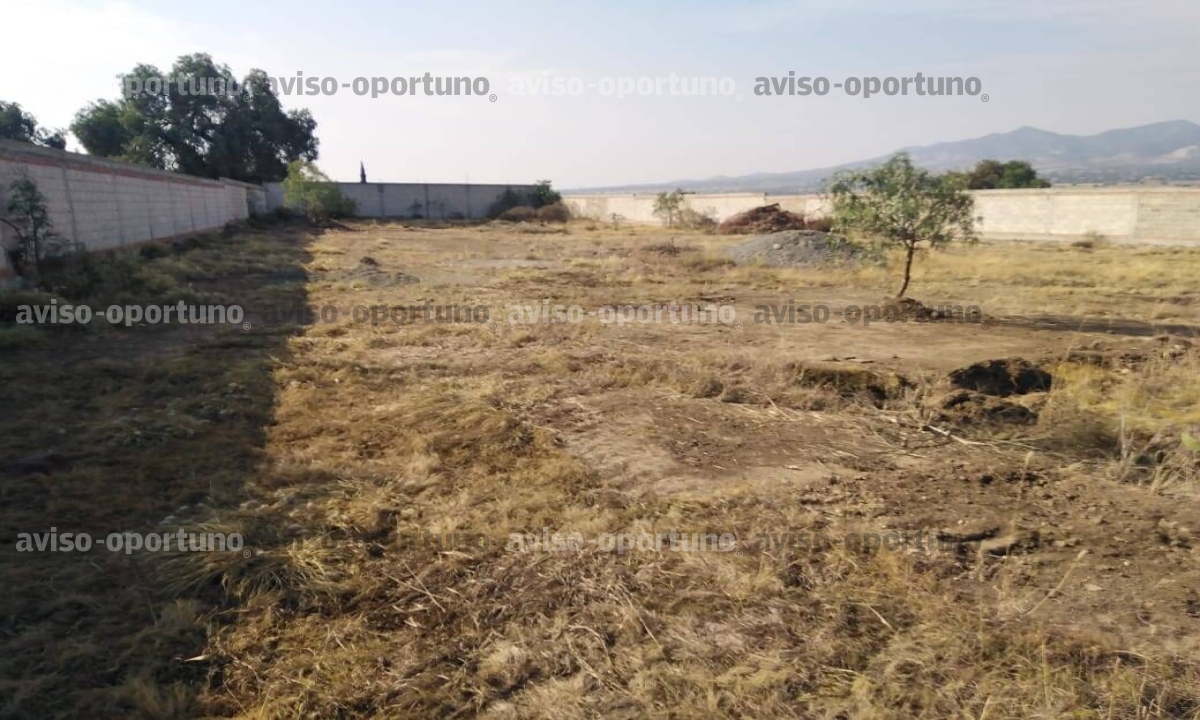 TERRENOS HIDALGO 2500M2