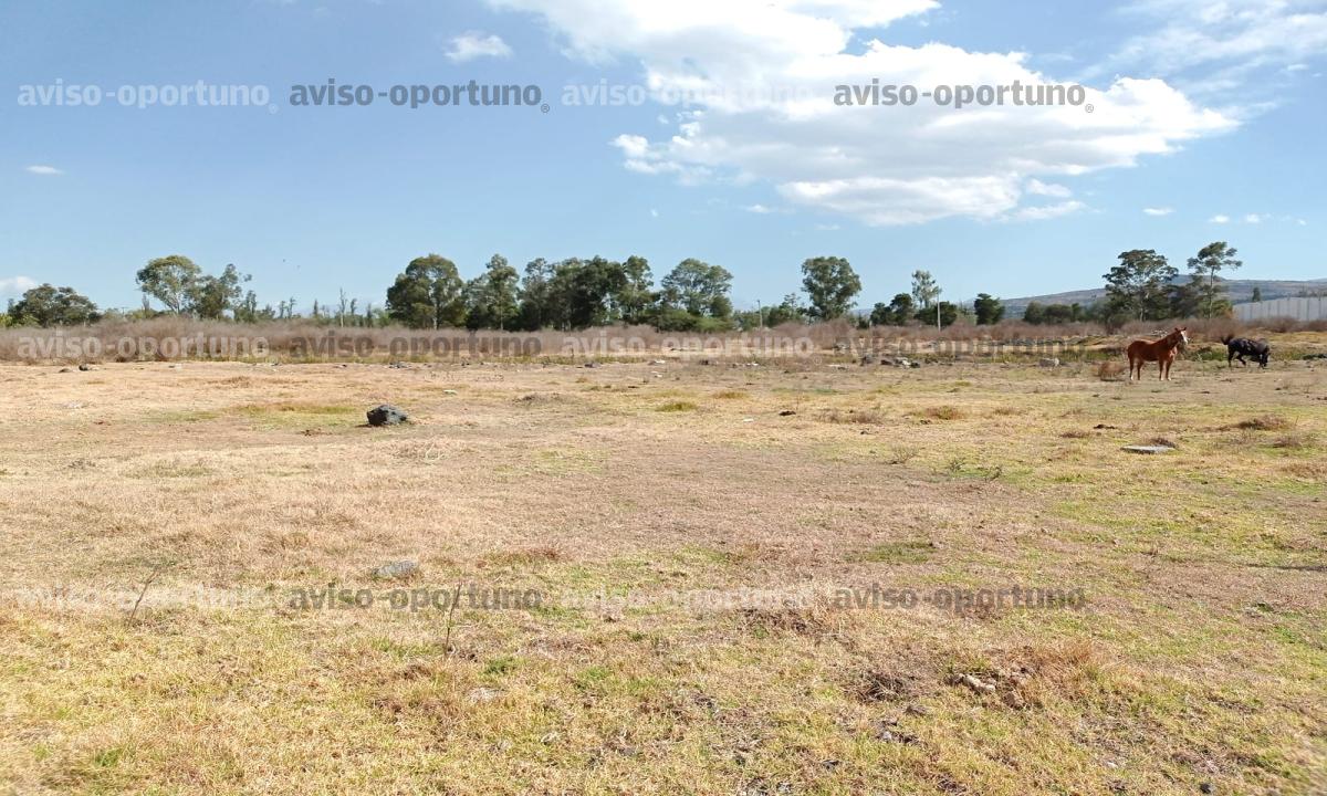 TERRENO PARA SIEMBRA EN VENTA