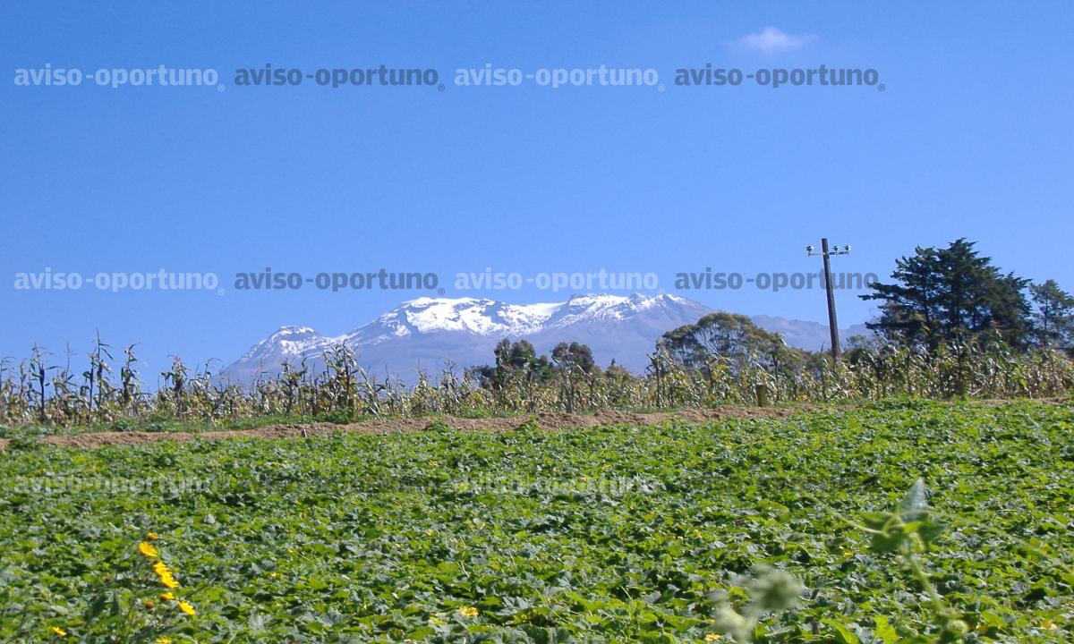 SE VENDE PRECIOSA FINCA
