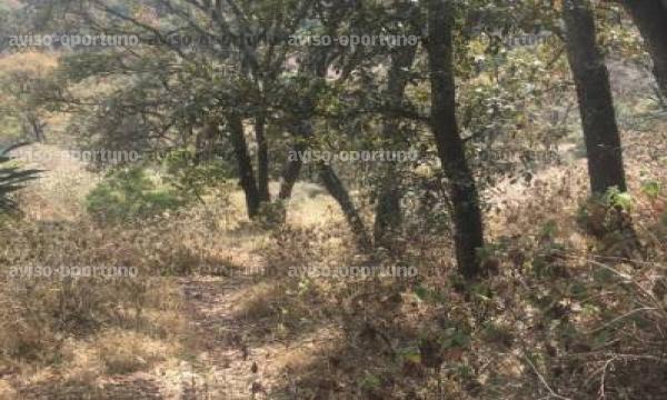 TERRENO RÚSTICO VILLA DEL CARBÓN, 740 MTS