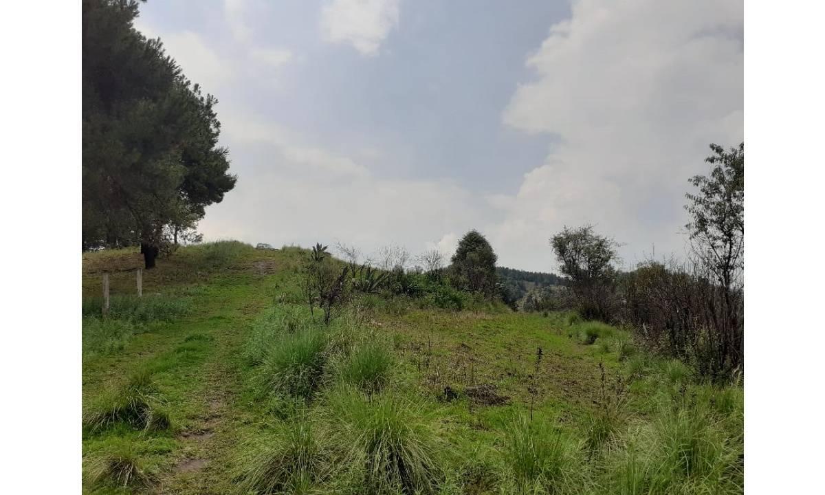 HUIXQUILUCAN LLANO GRANDE