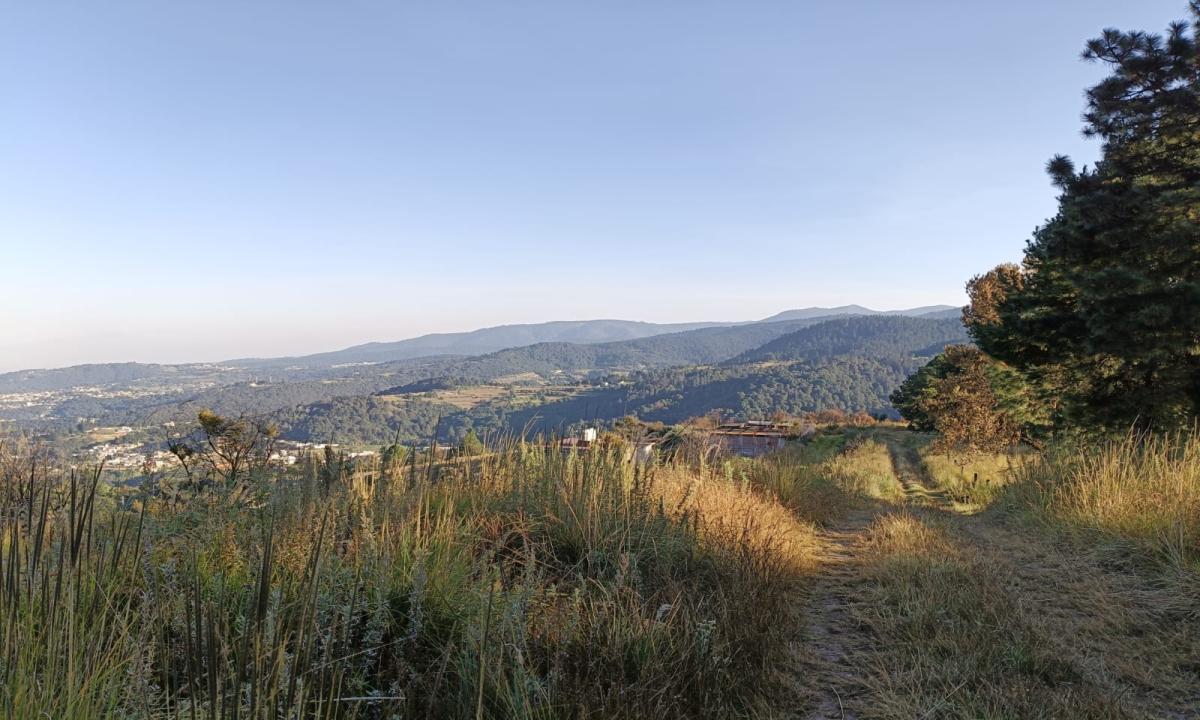 VENDO TERRENO CAMPESTRE