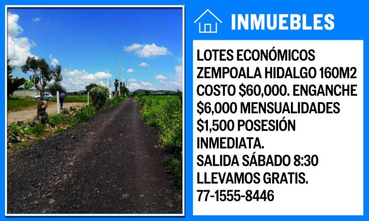 LOTES ECONÓMICOS ZEMPOALA HIDALGO
