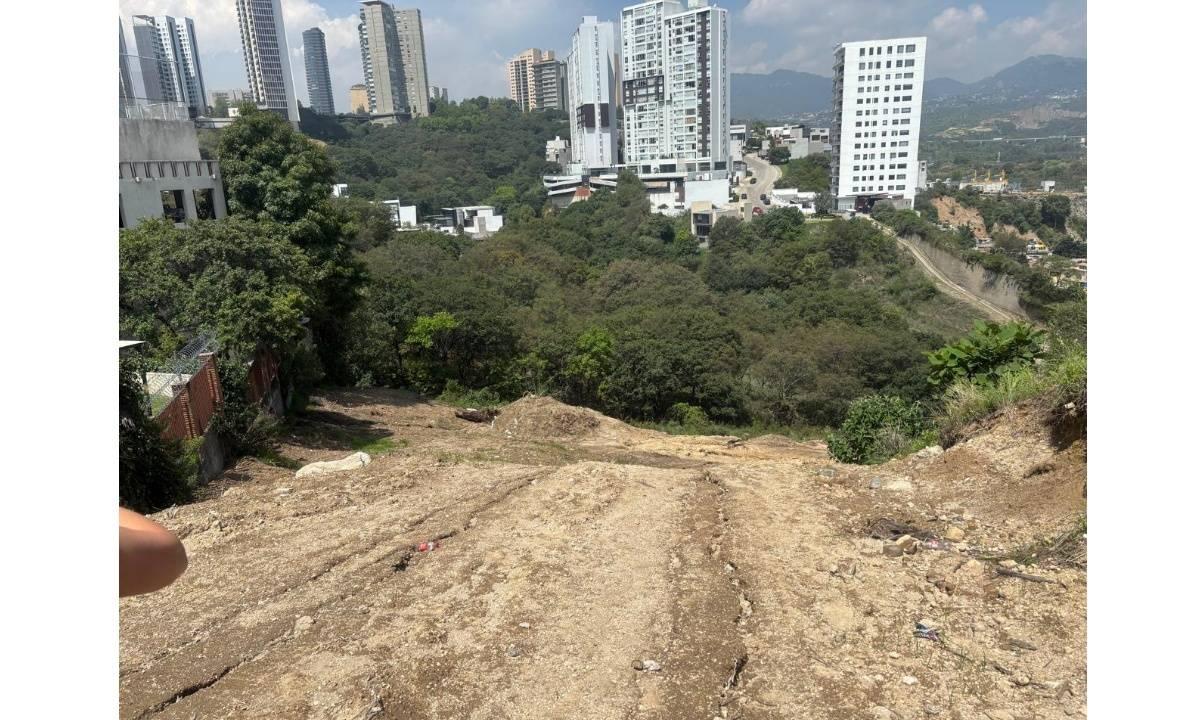 ZONA BOSQUE REAL
