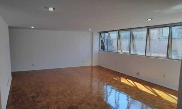 HOLBEIN 209 COL. NOCHEBUENA