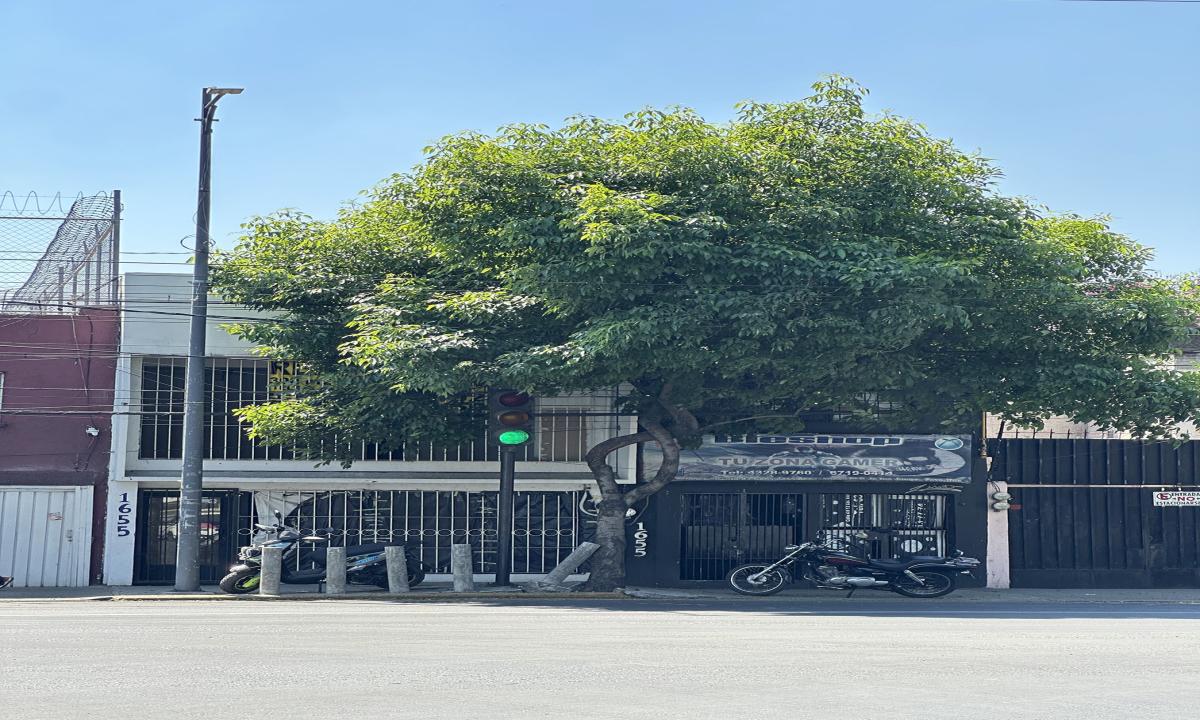 LOCAL CALZADA  TASQUEÑA|300 M²