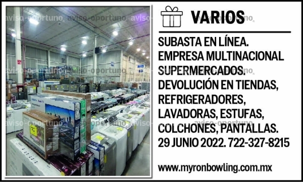 SUBASTA EN LÍNEA. EMPRESA MULTINACIONAL