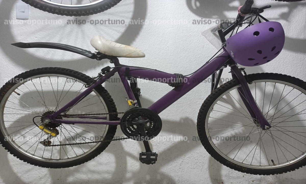 BICICLETA RODADA 26