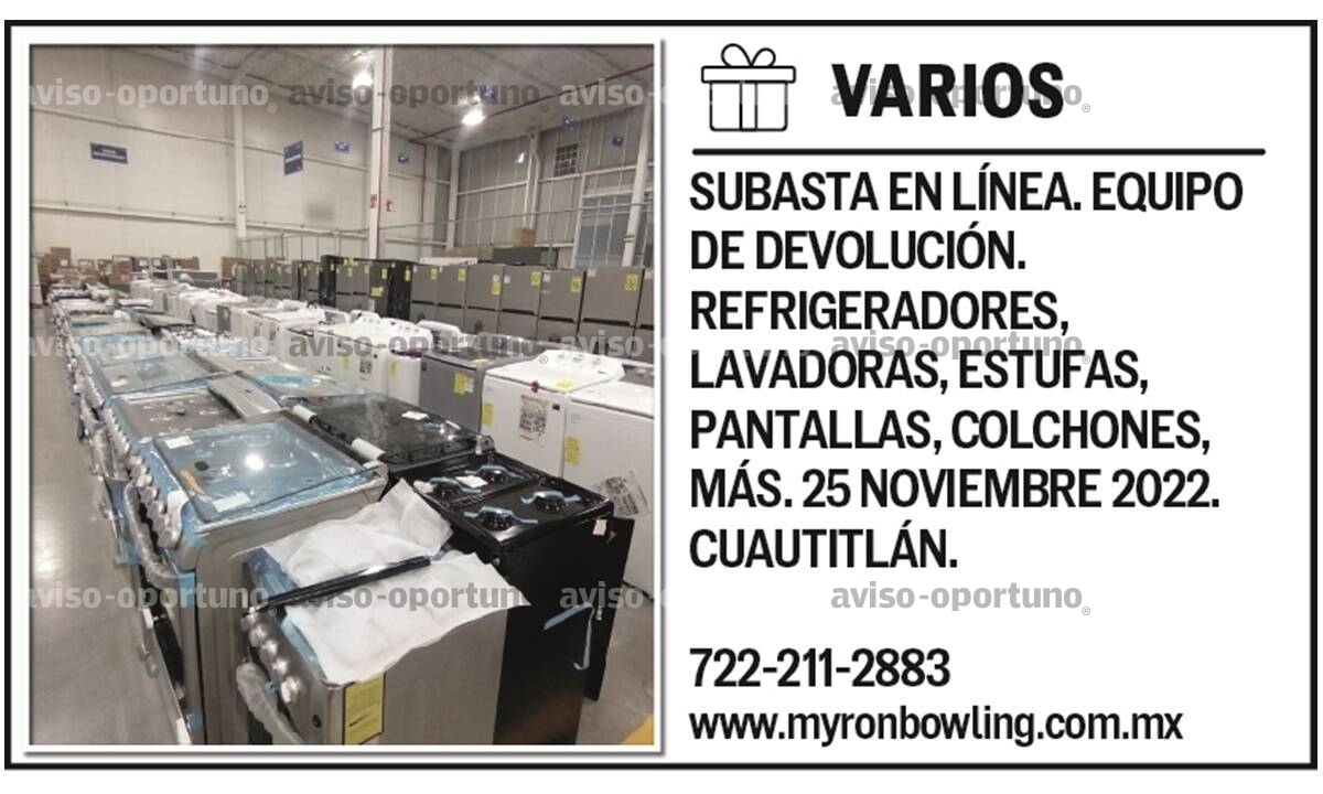 SUBASTA EN LÍNEA. EQUIPO