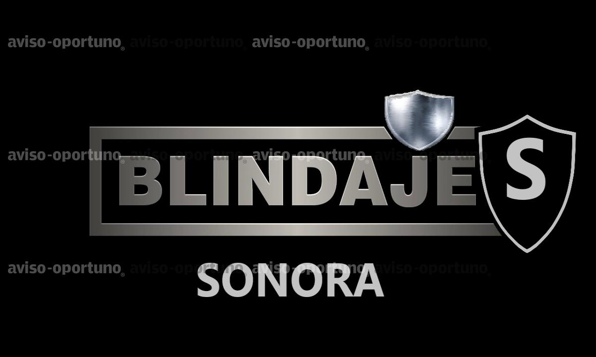 BLINDAJE DE PUERTAS Y CARROS