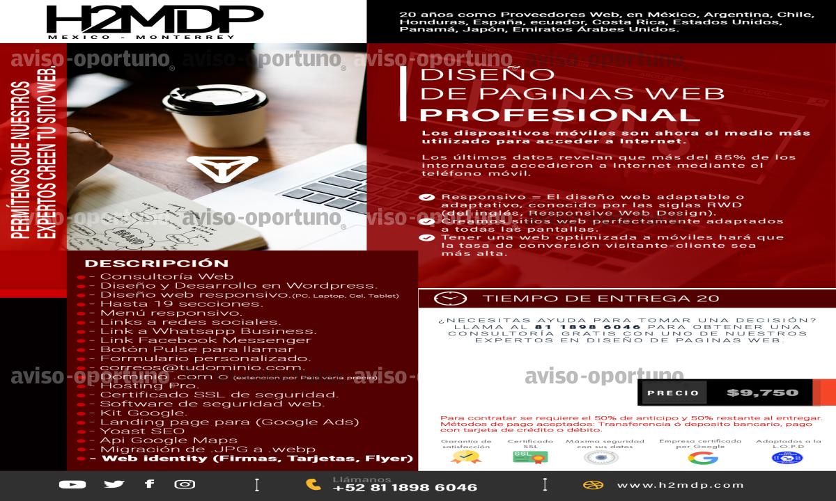 DISEÑO DE PAGINAS WEB
