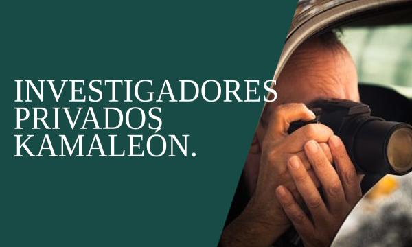INVESTIGADORES PRIVADOS