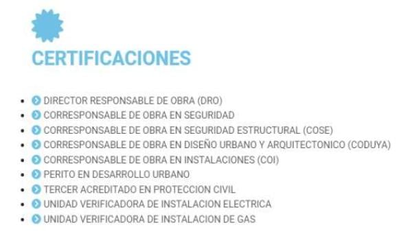 DIRECTOR RESPONSABLE DE OBRA